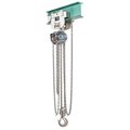 Elephant Lifting Products Hand Chain Hoist, Super 100 WOverload Protection, 05 Ton, 20 Ft Lift H100-0.5-20